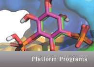 PH domains